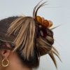 Accessories * | Princess Polly Sun Spirit Hair Clip Brown